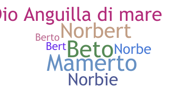 Apodo - Norberto