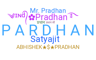 Apodo - Pradhan