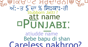 Apodo - Punjabi