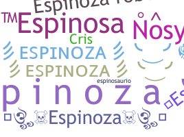 Apodo - Espinoza