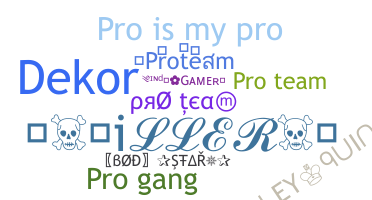 Apodo - ProTeam